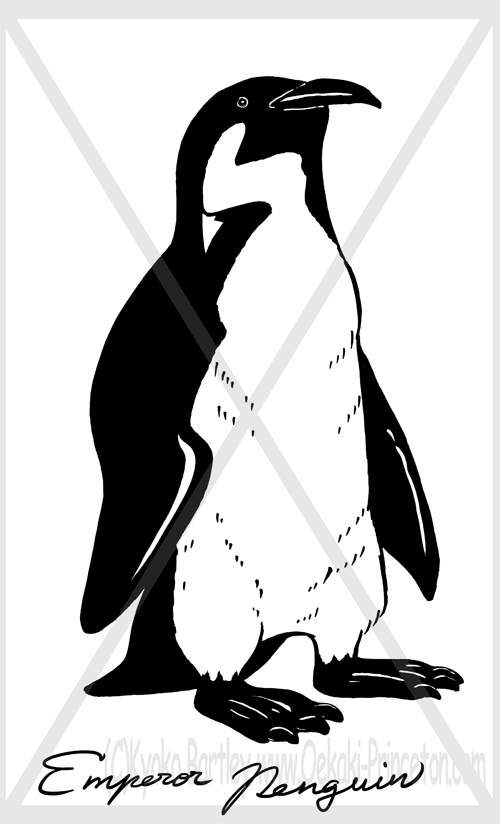 Emperor Penguin Black and White Hand Drawn Pen Art