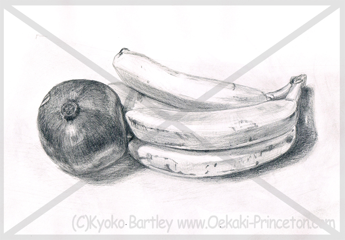 Still Life Detailed Pencil Sketch