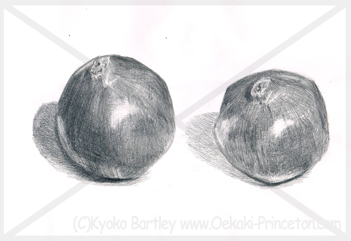 Pomegranate Pencil Detailed Sketch