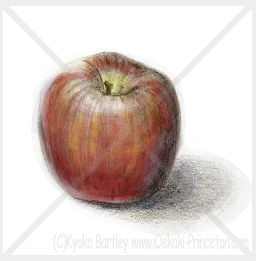 Apple Detailed Sketch