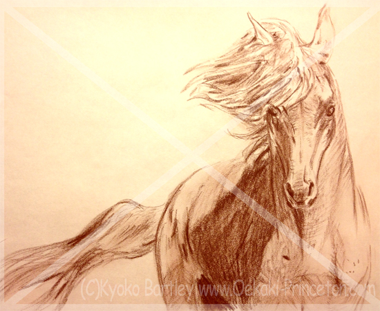 Horse Sketch