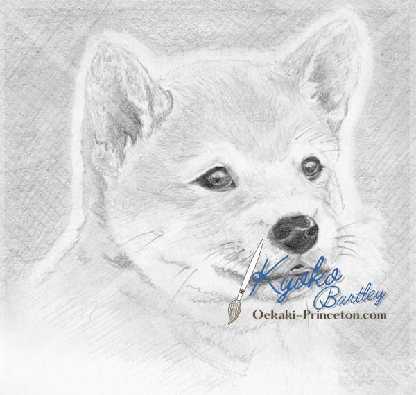Animal and Pet Portrait Art Commissions open! Award-Winning Artist Kyoko Bartley