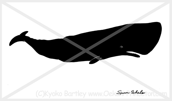 Sperm Whale Design- Pen