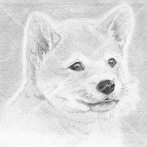 Animal and Pet Portrait Art Commissions open! Award-Winning Artist Kyoko Bartley