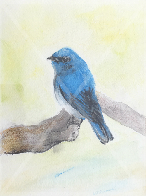 Blue Bird