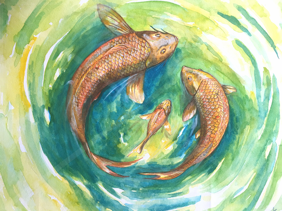 Carp Family Watercolor