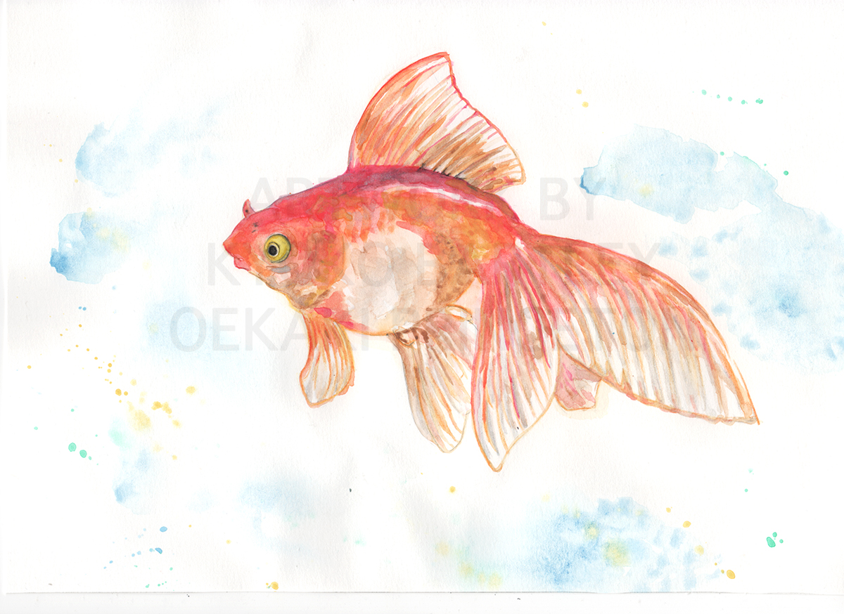 Goldfish | Pet/Animal Portrait Watercolor Painting by Kyoko Bartley