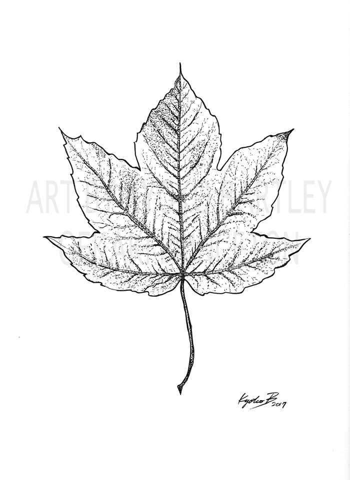 Leaf Pen Dot Art