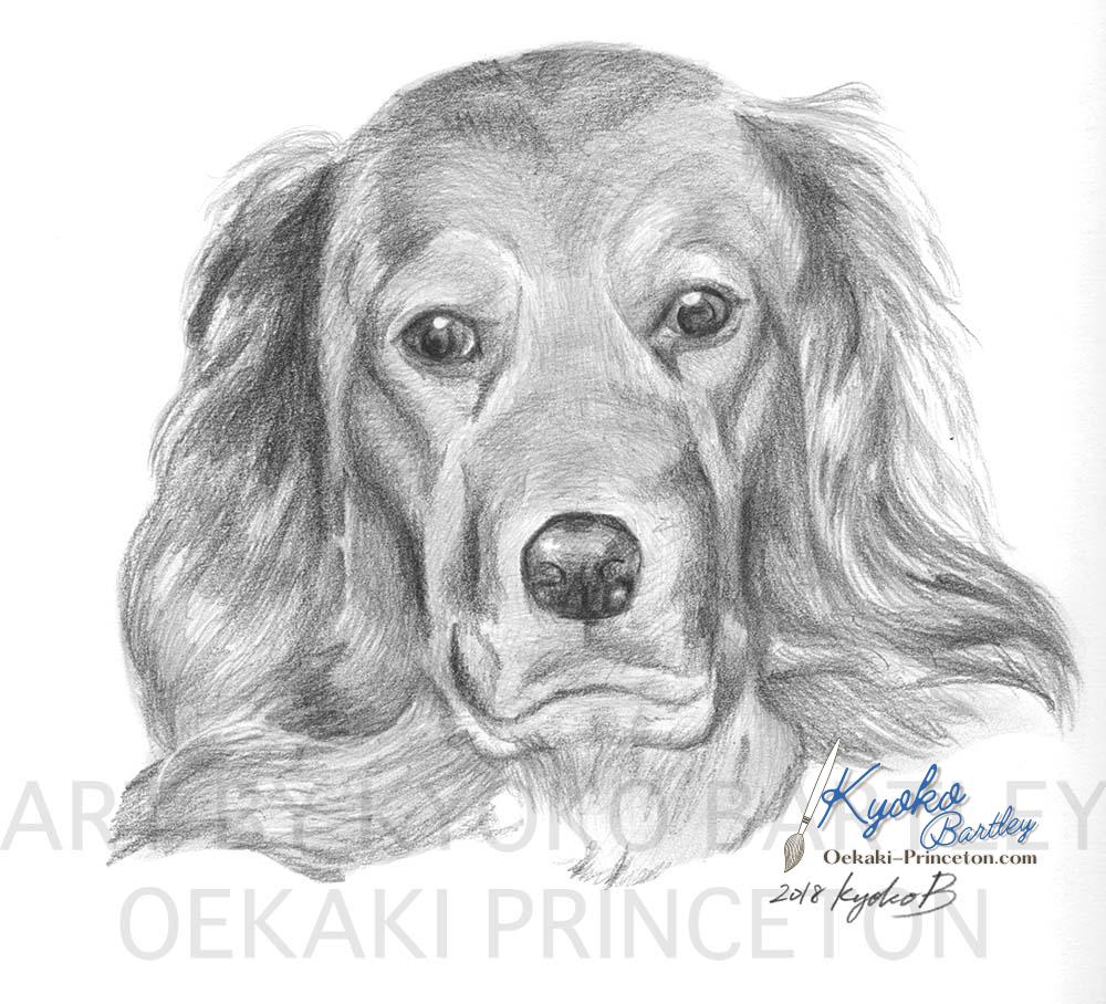 High-precision pencil rendering for students preparing art school applications