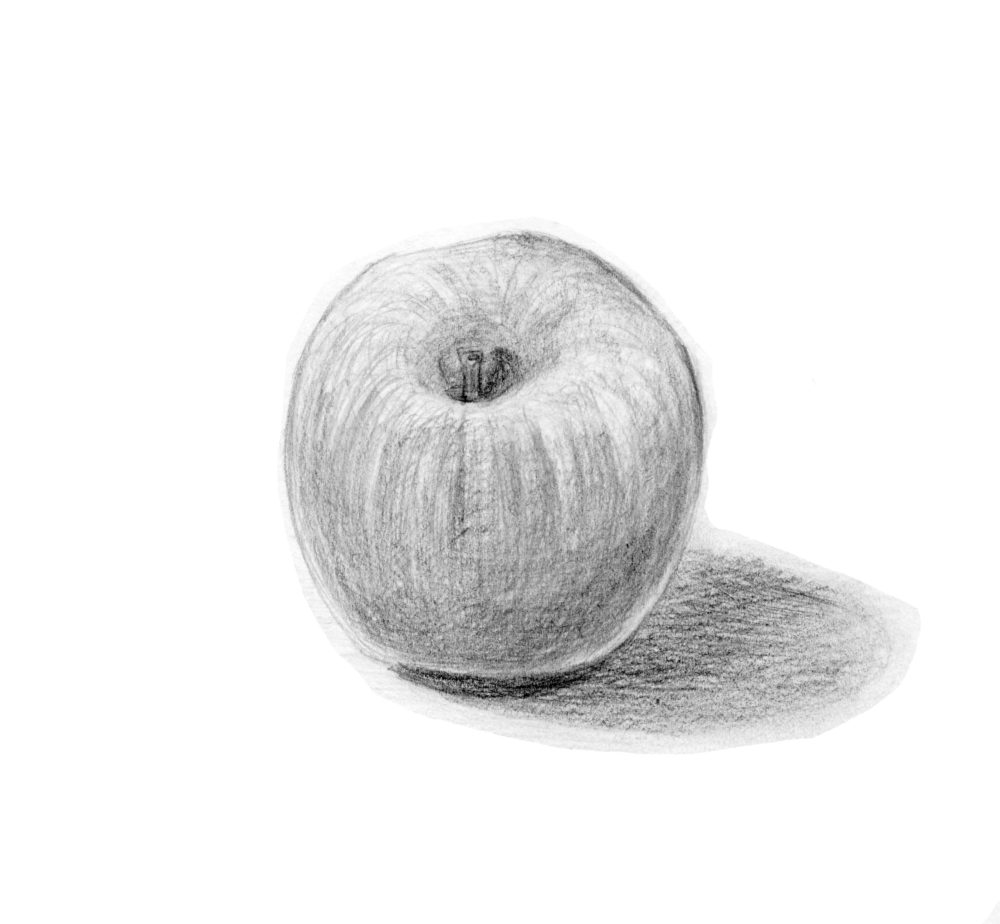 Apple Realistic Pencil Sketch Drawing