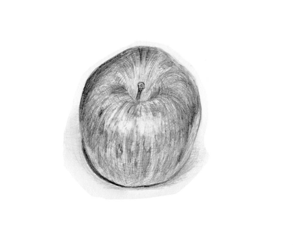 Apple Realistic Pencil Sketch Drawing