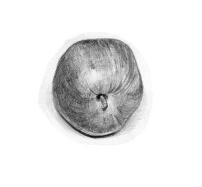 Professional-level pencil study of architecture, available through art mentoring