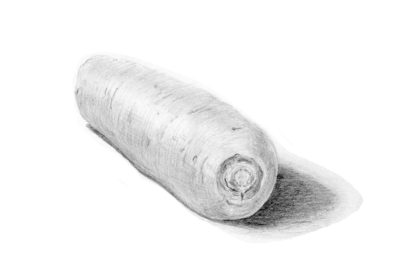 Pencil art tutorial result from Kyoko Bartley’s drawing course