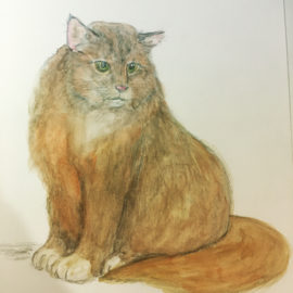 Cat Portrait by Kyoko Bartley