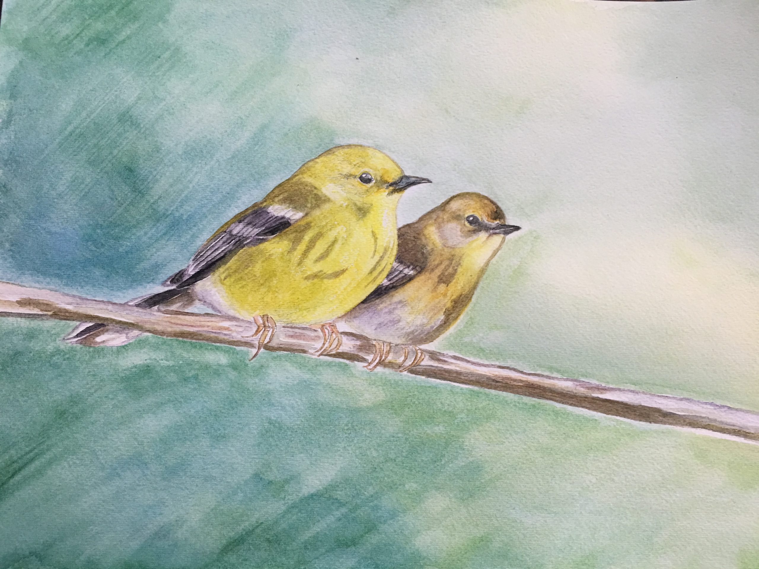 Watercolor Animal Art by Kyoko Bartley Sample- Jersey Warblers