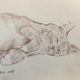 Sleeping cat charcoal art – tranquil handmade painting