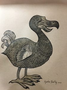 Dodo Endangered (Extinct) Animal Art Series By Kyoko Bartley New Jersey Award-Winning Animal Welfare/Pet Portraits Artist