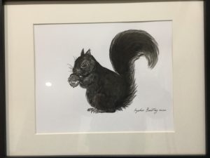 Black Squirrel Wildlife Art Series By Kyoko Bartley New Jersey Award-Winning Animal Welfare/Pet Portraits Artist