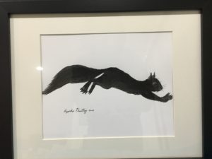 Black Squirrel Wildlife Art Series By Kyoko Bartley New Jersey Award-Winning Animal Welfare/Pet Portraits Artist