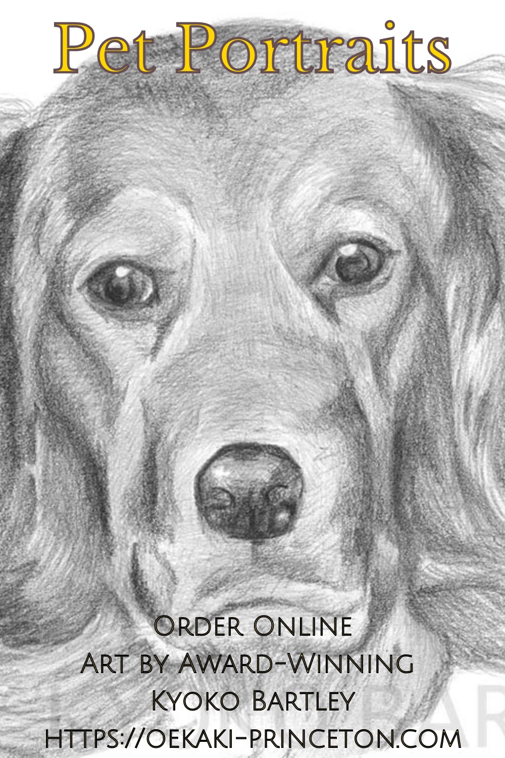 Golden Retriever| Pet/Animal Portrait Pencil Drawing by Kyoko Bartley