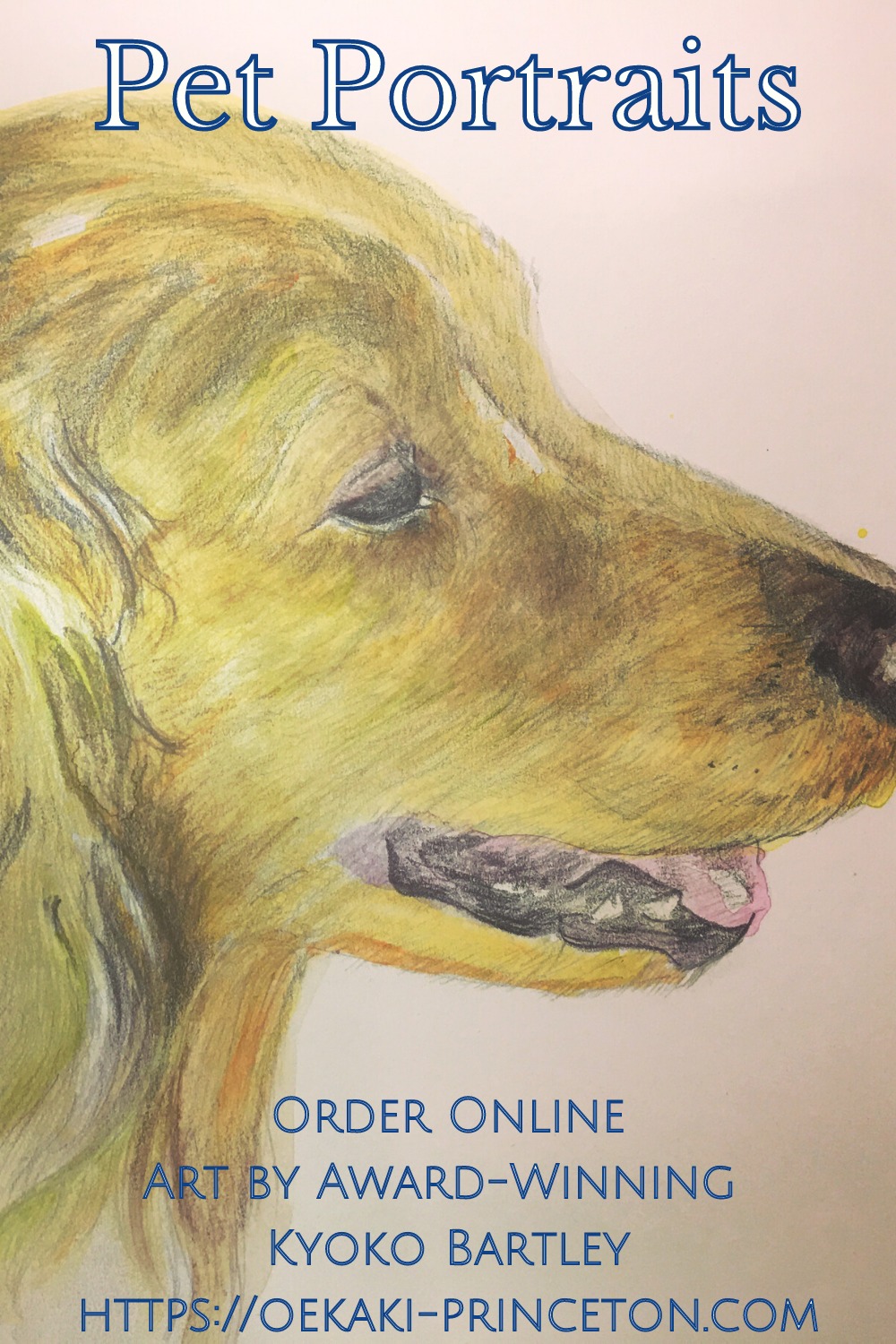 Golden Retriever| Pet/Animal Portrait Pencil Drawing by Kyoko Bartley