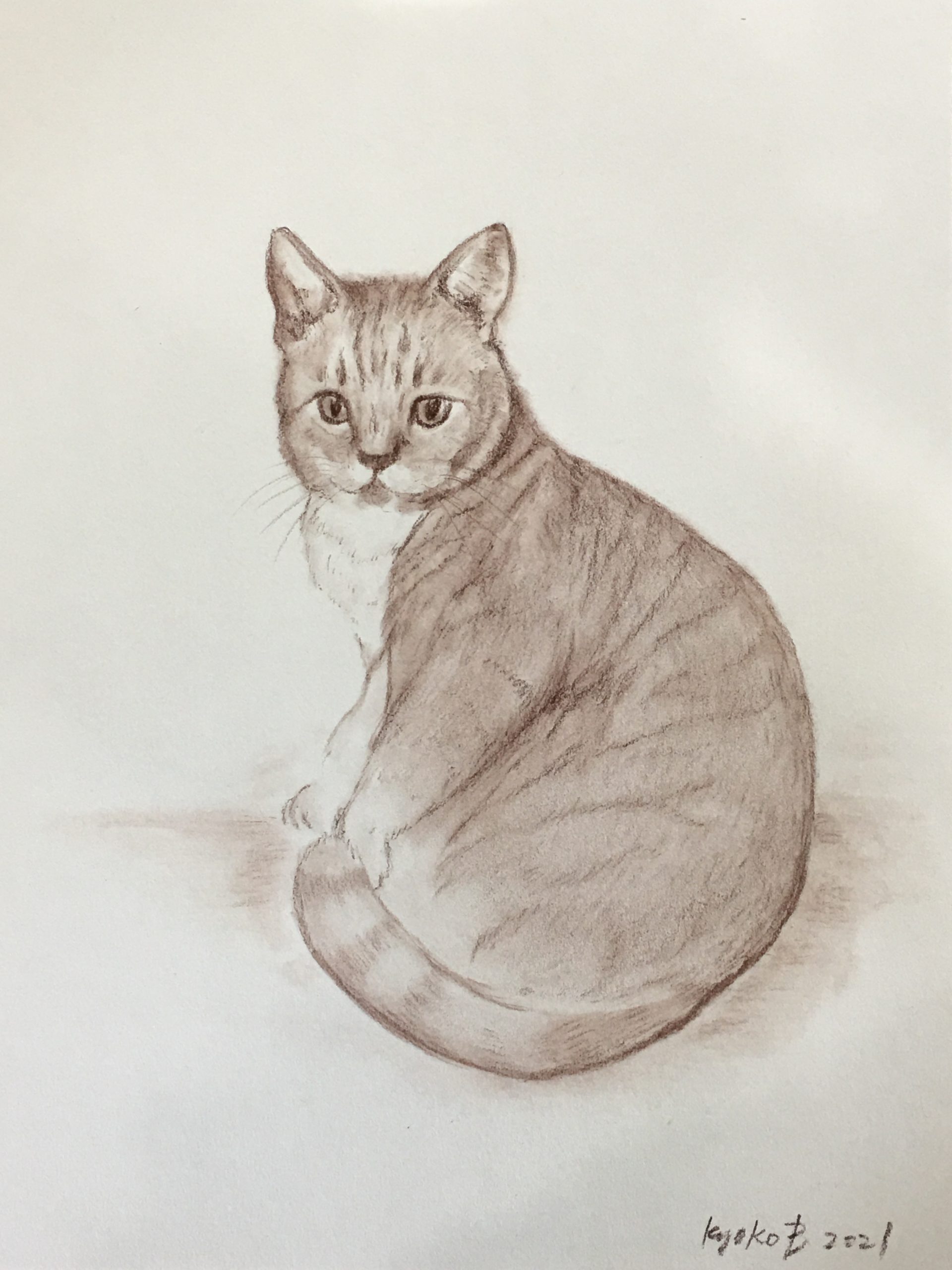 Cat Portrait Charcoal Drawing Art By Kyoko Bartley