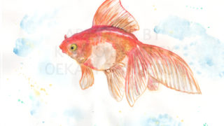 Goldfish art by Kyoko Bartley, Artist in New Jersey.