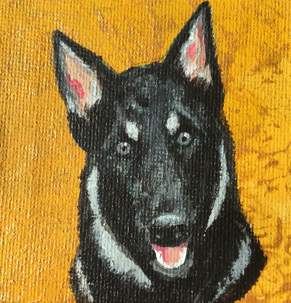 German Shepard mini canvas portrait by Kyoko Bartley, Award- winning pet portraits, animal welfare artist in New Jersey.