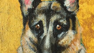 German Shepard mini canvas portrait by Kyoko Bartley, Award- winning pet portraits, animal welfare artist in New Jersey.