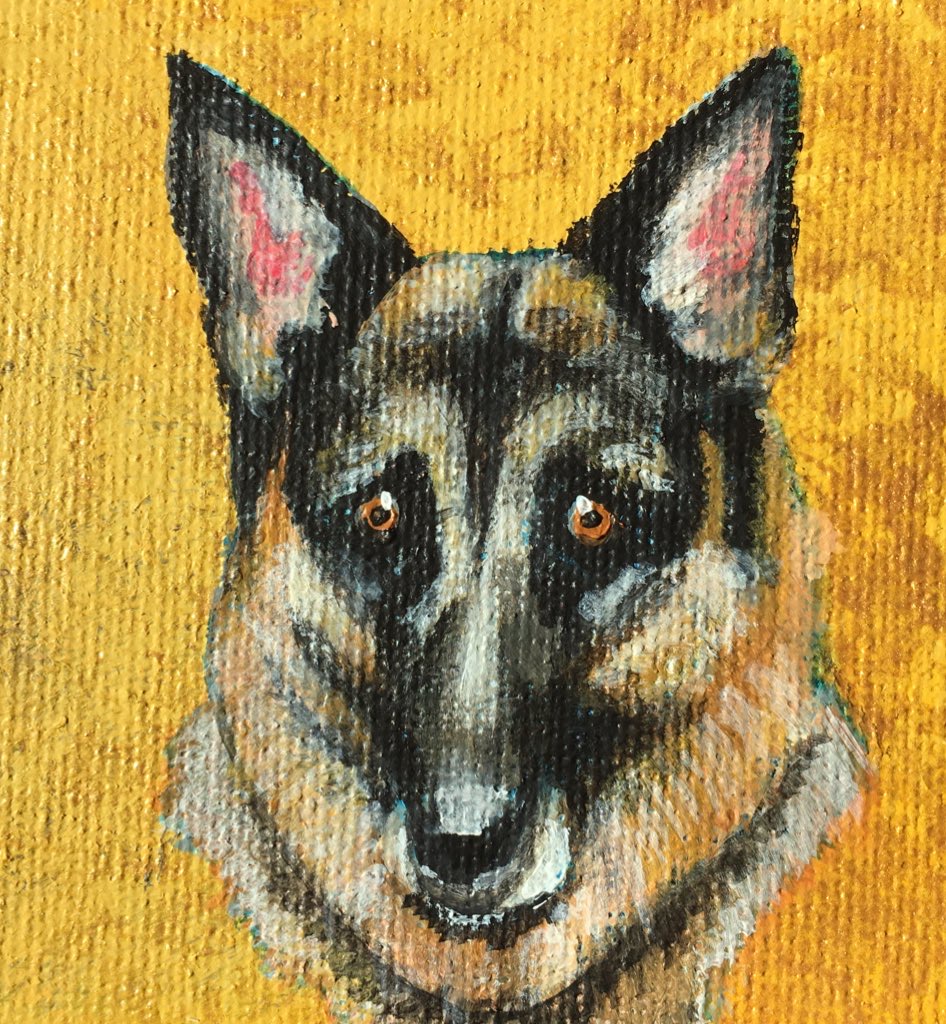 German Shepard mini canvas portrait by Kyoko Bartley, Award- winning pet portraits, animal welfare artist in New Jersey.