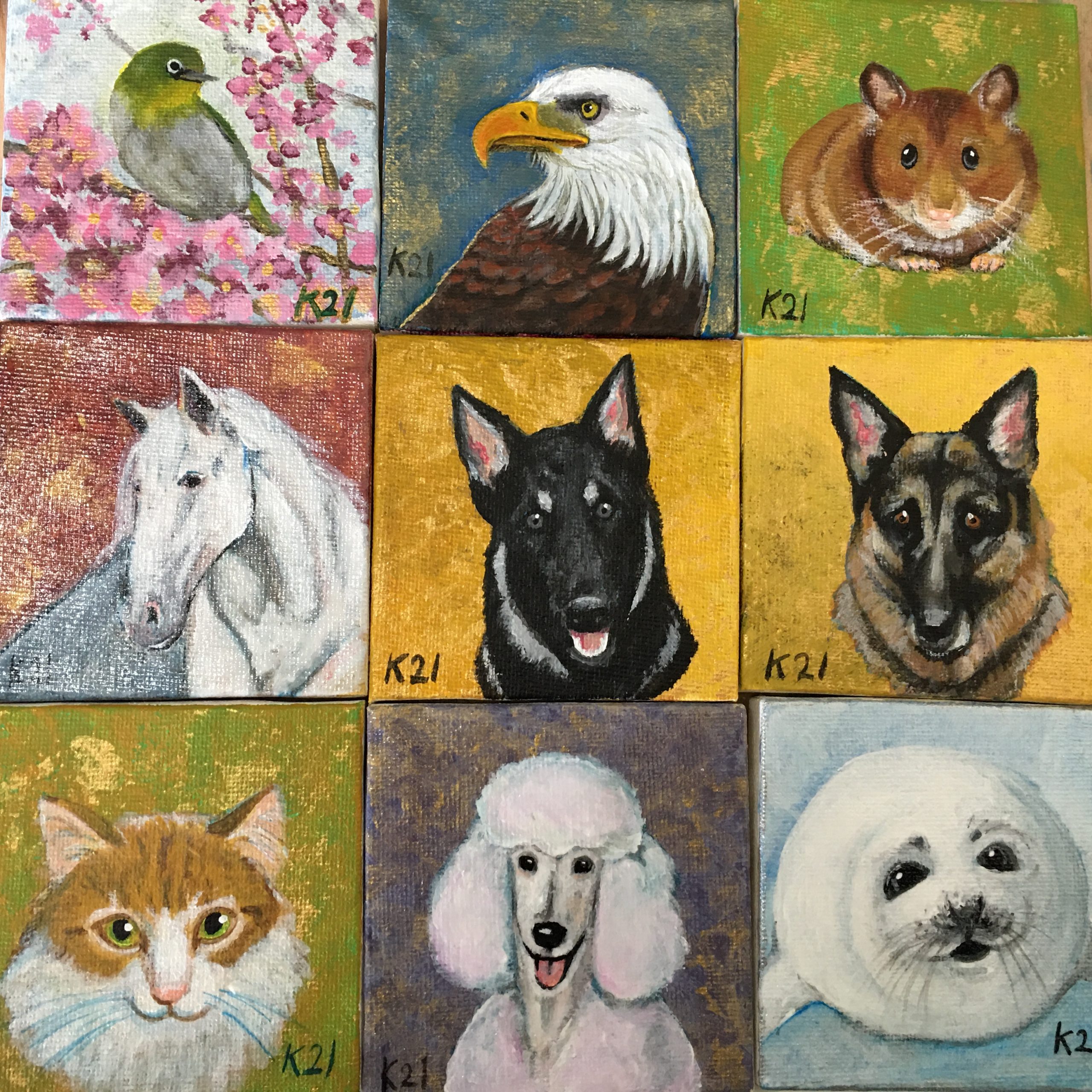 Dogs, cats, birds, hamsters, and horse portraits samples by Kyoko Bartley, Award- winning pet portraits, animal welfare artist in New Jersey.