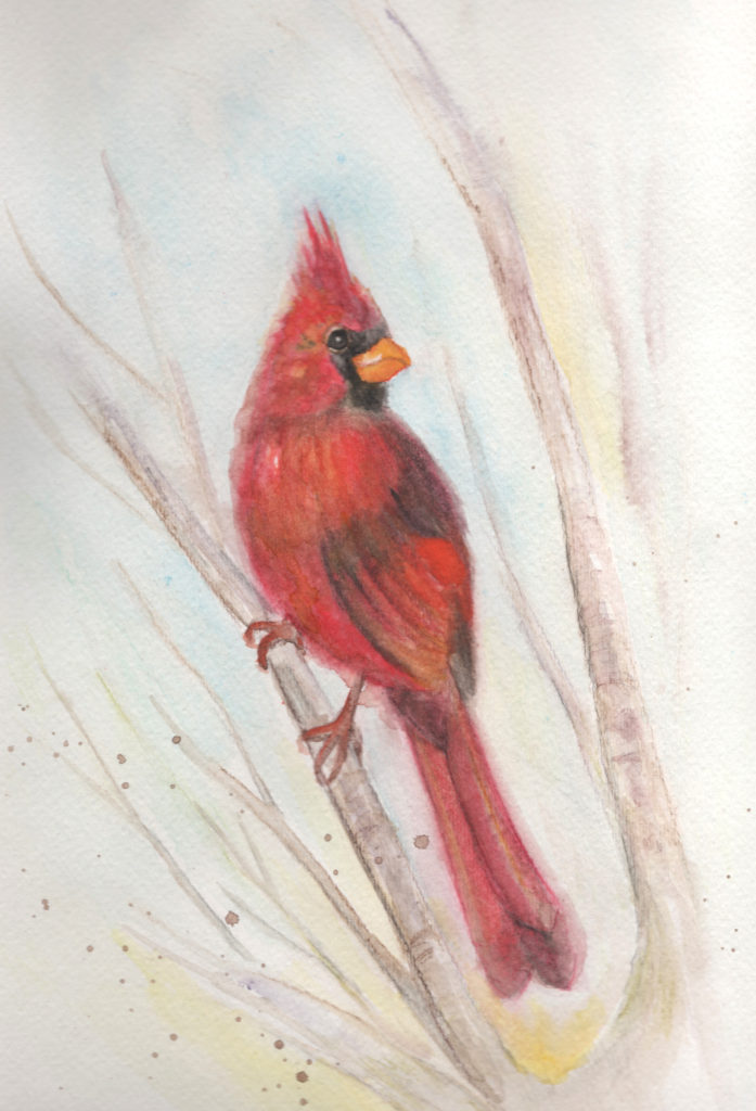 Cardinal red bird watercolor painting art by Kyoko Bartley, Award- winning pet portraits, animal welfare artist in New Jersey.