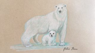 Realistic artwork of polar bears– endangered animal depicted in colored pencil