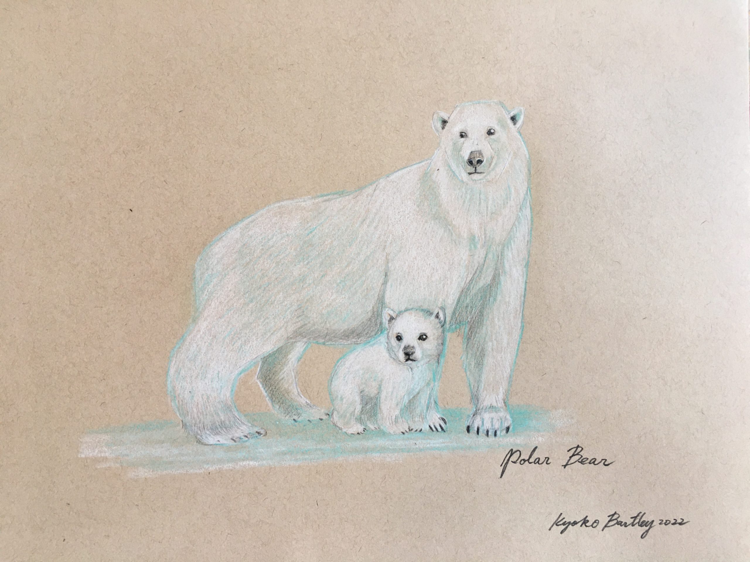 Polar Bear Color Pencil Art Endangered Species Series Vol 1. by Kyoko Bartley