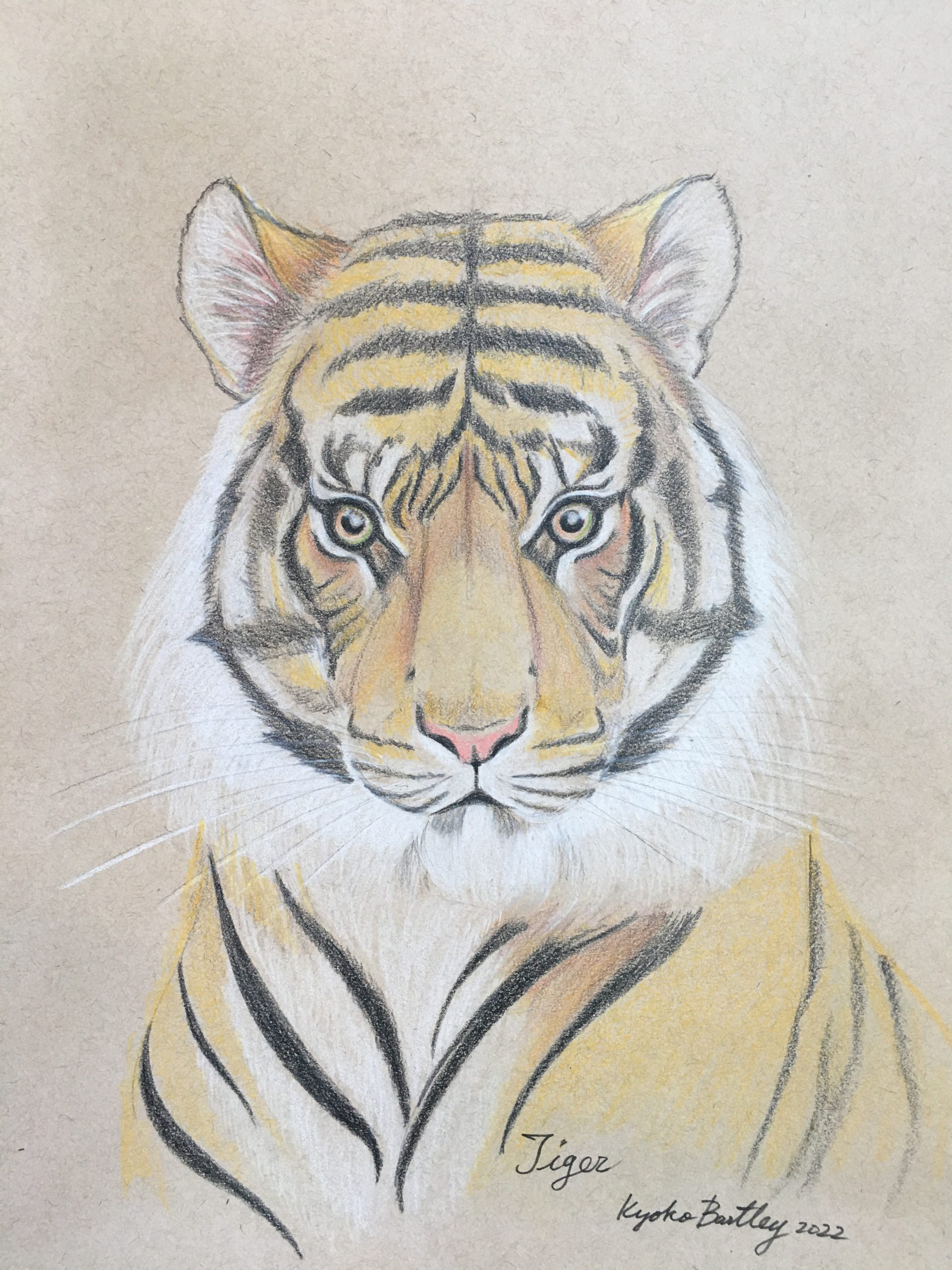 Tiger Color Pencil Art Endangered Species Series Vol 1. (2022) by Kyoko Bartley