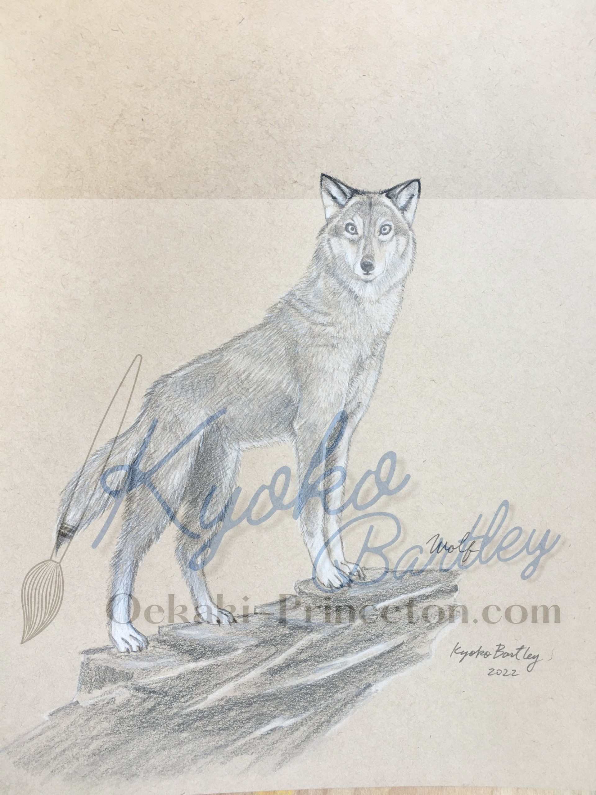 Wolf Color Pencil Art Endangered Species Series Vol 1. (2022) by Kyoko Bartley