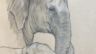 Asian elephant Mom and calf with textured skin – colored pencil conservation art