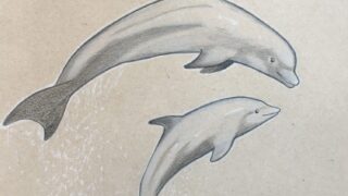 Gentle colored pencil illustration of dolphins – emotional endangered species portrait